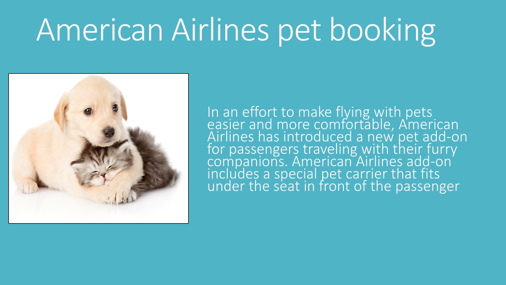 American airlines pet clearance booking