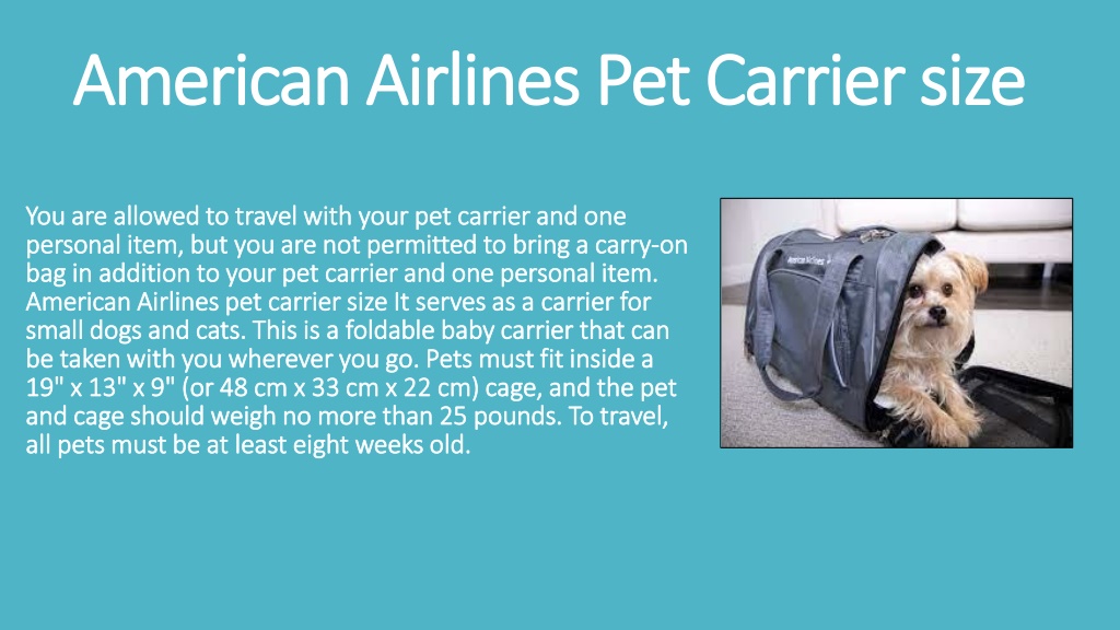 American airlines animal carry on online