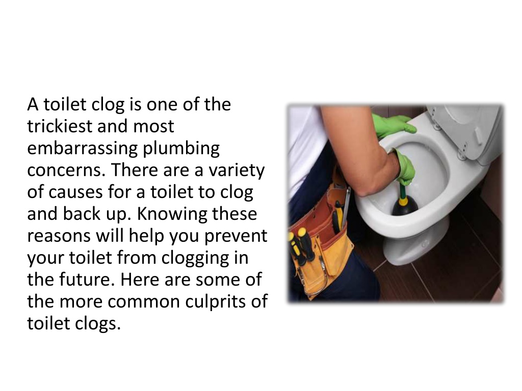 PPT Common Causes of Toilet Clogs PowerPoint Presentation, free