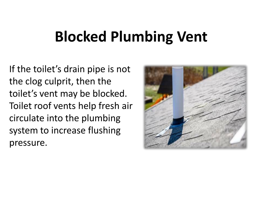 PPT Common Causes of Toilet Clogs PowerPoint Presentation, free