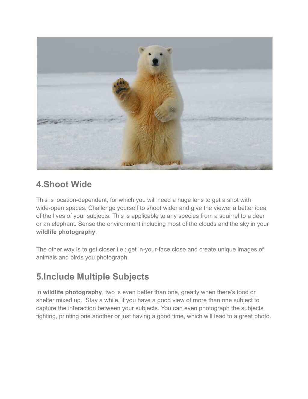 PPT BEST WILDLIFE PHOTOGRAPHY_ TIPS FOR STUNNING RESULTS PowerPoint
