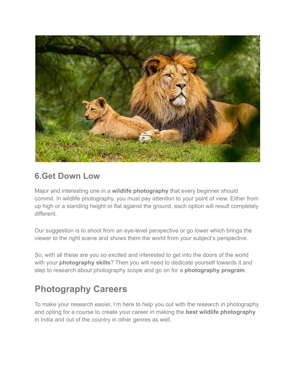 PPT - BEST WILDLIFE PHOTOGRAPHY_ TIPS FOR STUNNING RESULTS PowerPoint ...