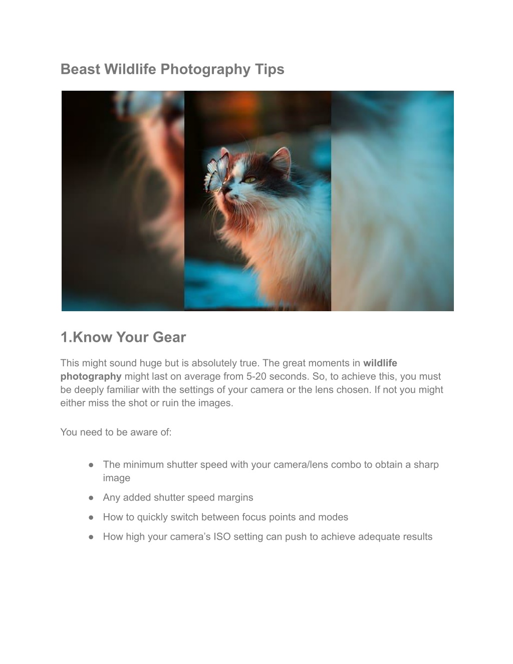 PPT BEST WILDLIFE PHOTOGRAPHY_ TIPS FOR STUNNING RESULTS PowerPoint Presentation ID11677093