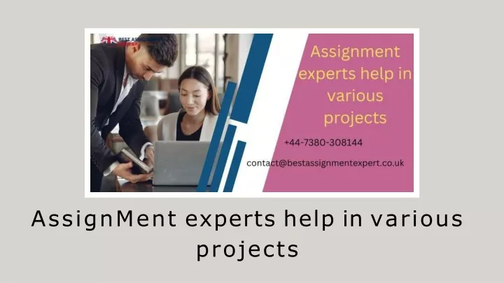 assignment experts help review