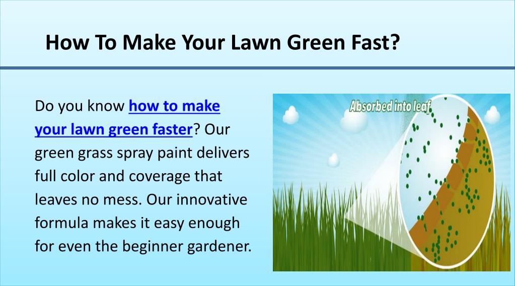 How To Make Your Lawn Green And Healthy at Joseph Kerrigan blog