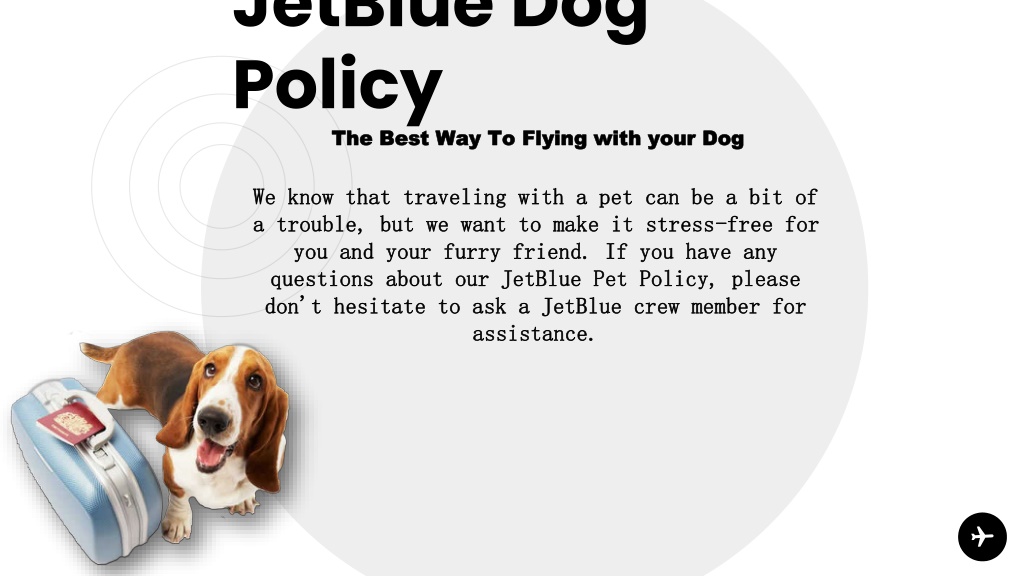 Jetblue dog outlet rules