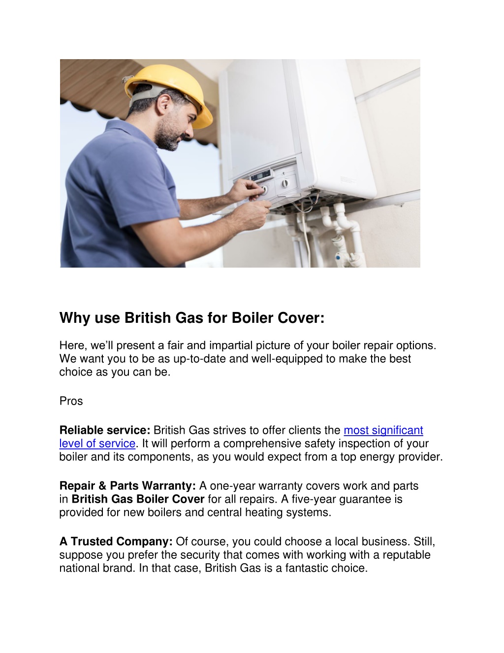 British Gas Boiler Service Includes at Grant Levesque blog