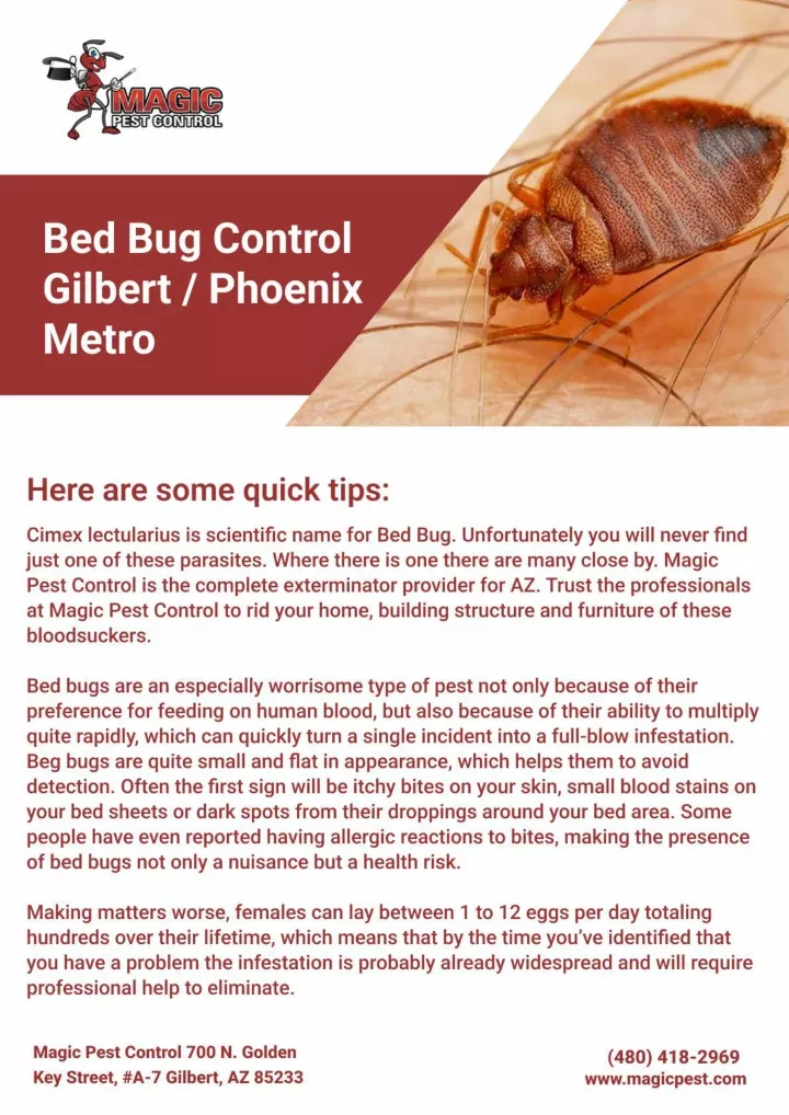 PPT - Bed Bug Control Gilbert | pest control gilbert az PowerPoint ...
