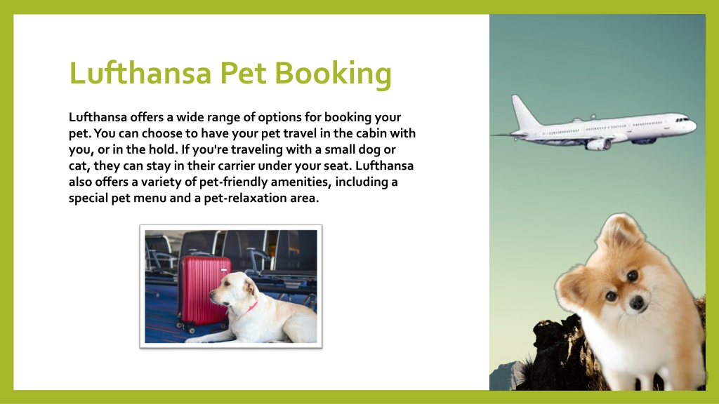 Lufthansa pet reservation hotsell