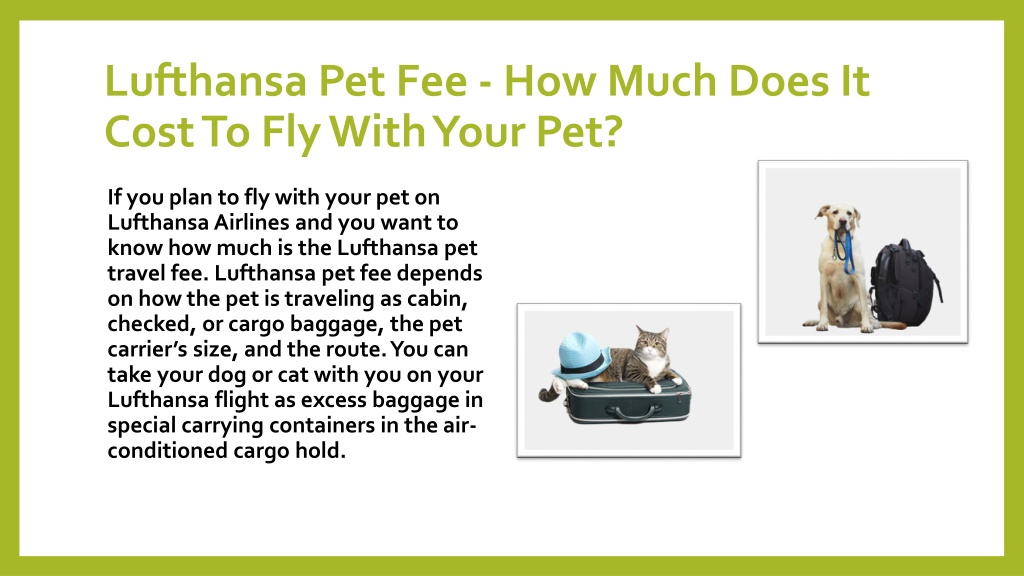 PPT Everything You Need To Know About Lufthansa Pet Policy Here's