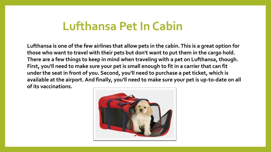 PPT Everything You Need To Know About Lufthansa Pet Policy Here's