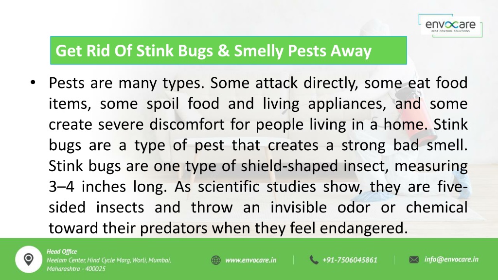 Ppt 10 Tips On How To Get Rid Of Stink Bugs And Smelly Pests Away Powerpoint Presentation Id 2987