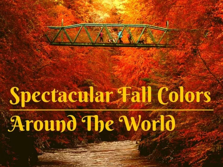 spectacular fall colors around the world n.