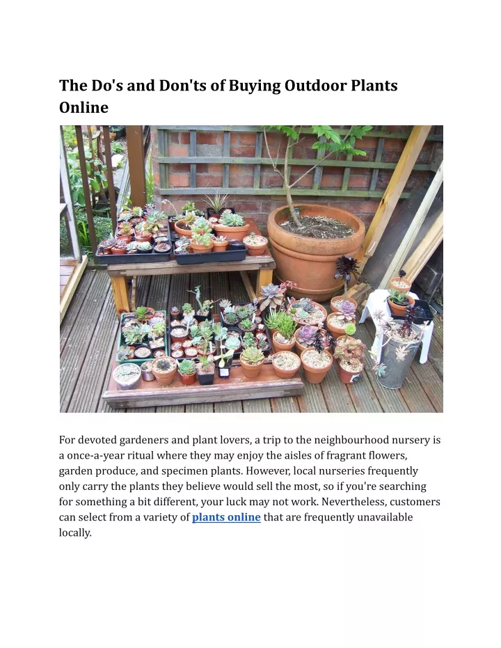 PPT The Do's and Don'ts of Buying Outdoor Plants Online PowerPoint