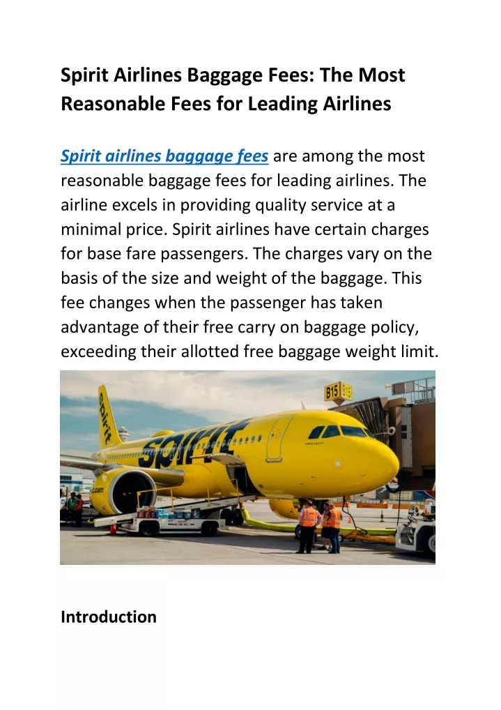 PPT Spirit Airlines Baggage Fees PowerPoint Presentation, free download ID11723653