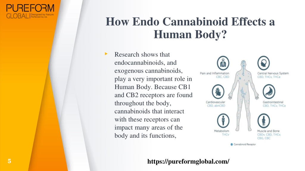 PPT - What Are Cannabinoid Receptors - Pure Form Global PowerPoint ...