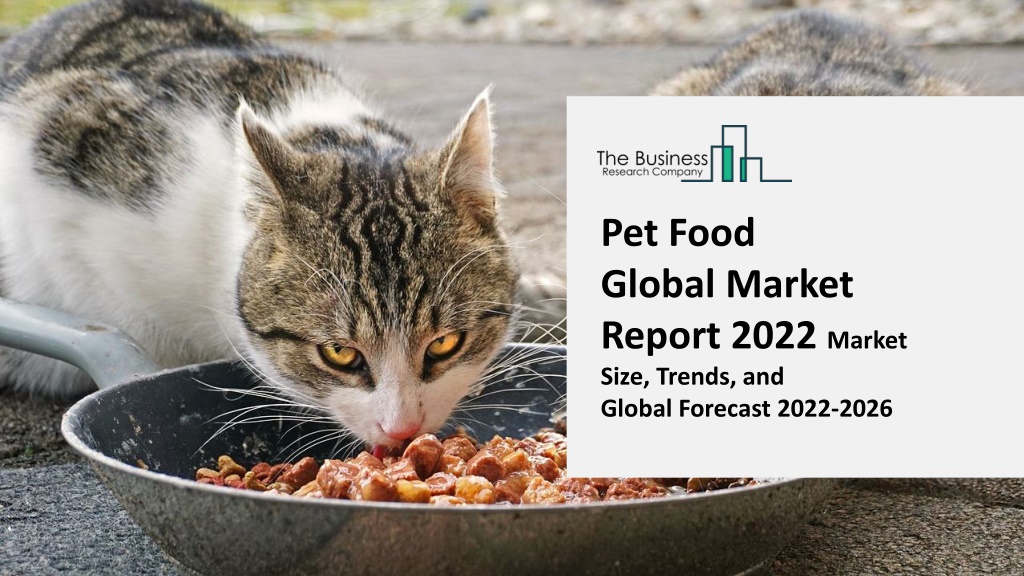 PPT Global Sales pet food market Comprehensive Impact 20222026 TBRC PowerPoint