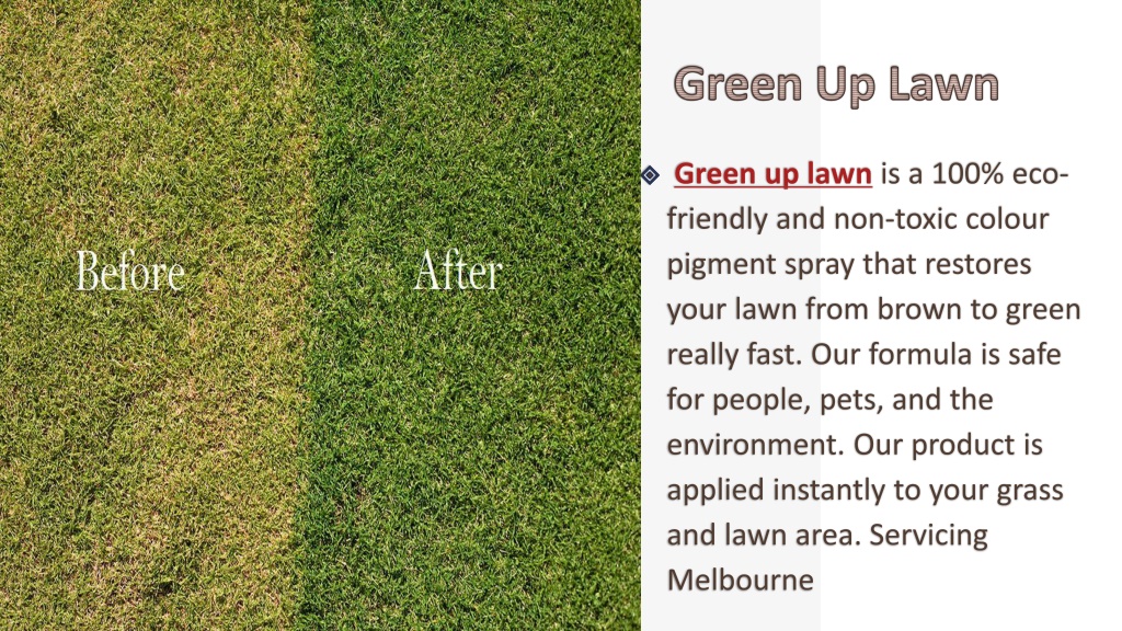 PPT The Best Lawn Paint for Your Garden PowerPoint Presentation, free