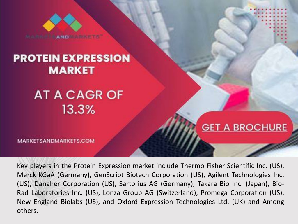 Ppt Protein Expression Market Analysis Report Key Trends Opportunities Powerpoint 0419