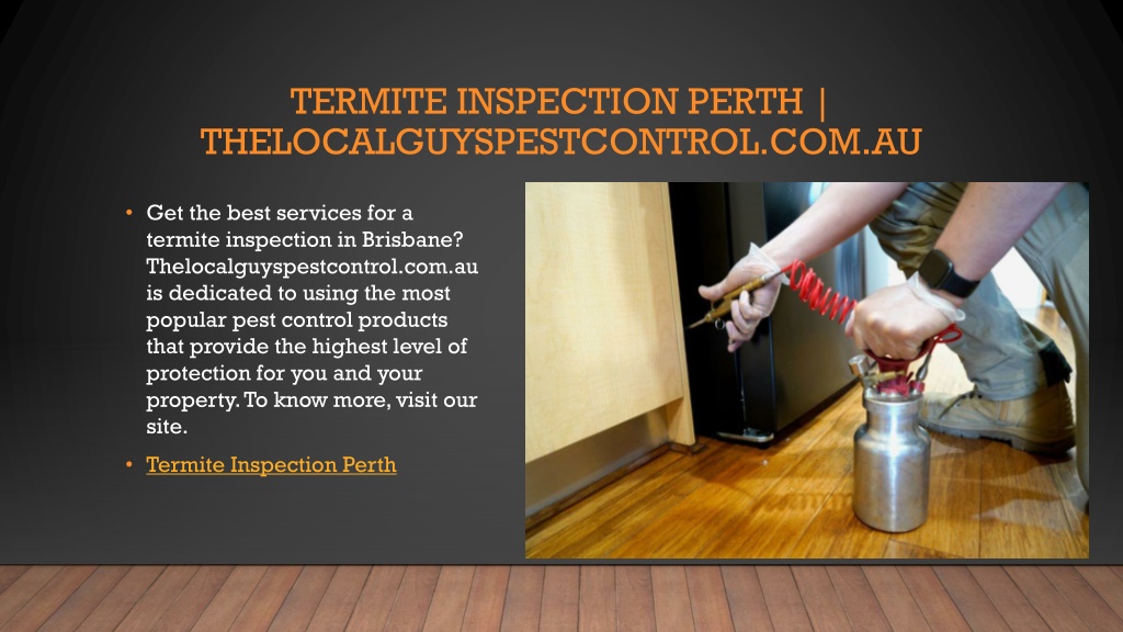 PPT - Termite Inspection Perth | Thelocalguyspestcontrol.com.au ...