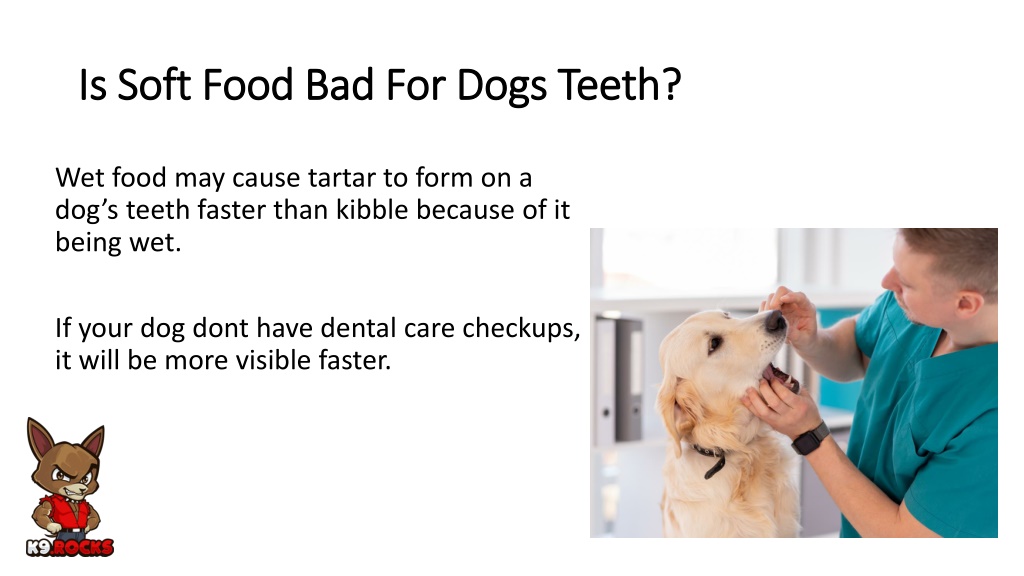 PPT Is Wet Food Bad For Dogs Teeth PowerPoint Presentation Free 