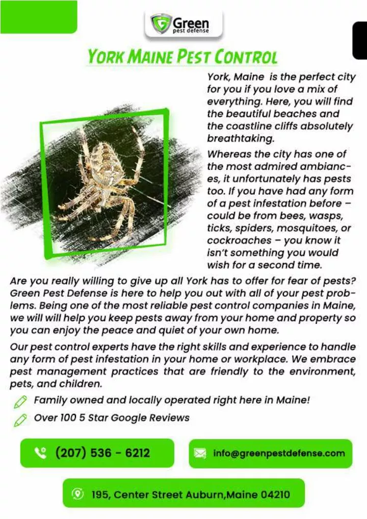 Ppt Maine Pest Control Residential Pest Control Auburn Powerpoint Presentation Id11745291 9223