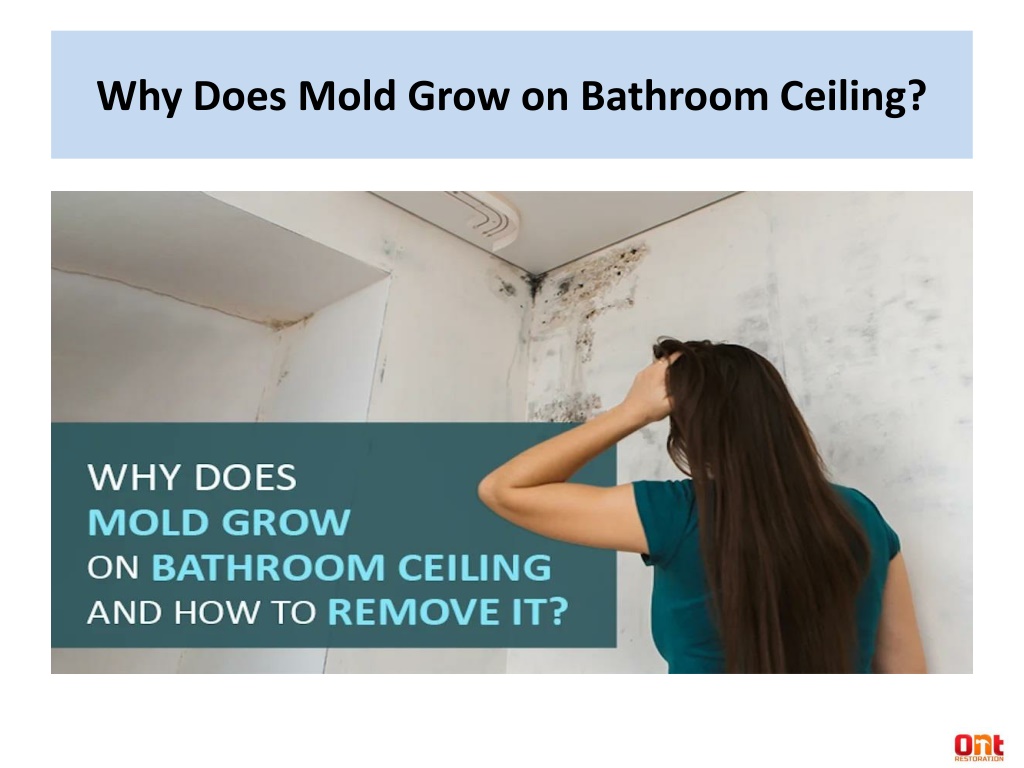 PPT Why Does Mold Grow on Bathroom Ceiling PowerPoint Presentation