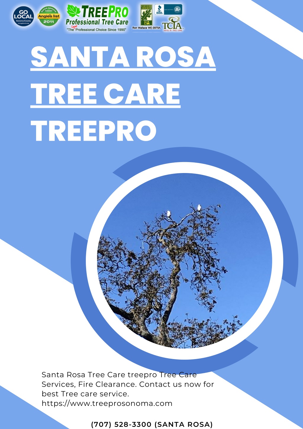 Ppt Santa Rosa Tree Care Powerpoint Presentation Free Download Id