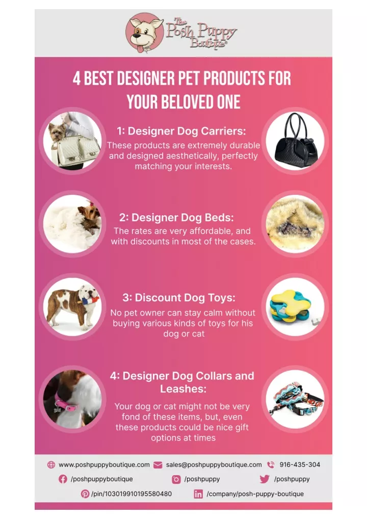 PPT 4 BEST DESIGNER PET PRODUCTS FOR YOUR BELOVED ONE PowerPoint