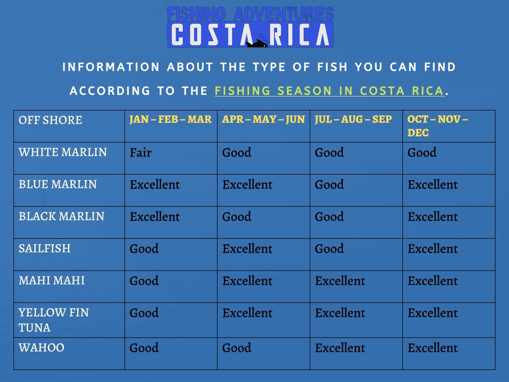 PPT Fishing Season in Costa Rica Best Time to Visit PowerPoint Presentation ID11764241