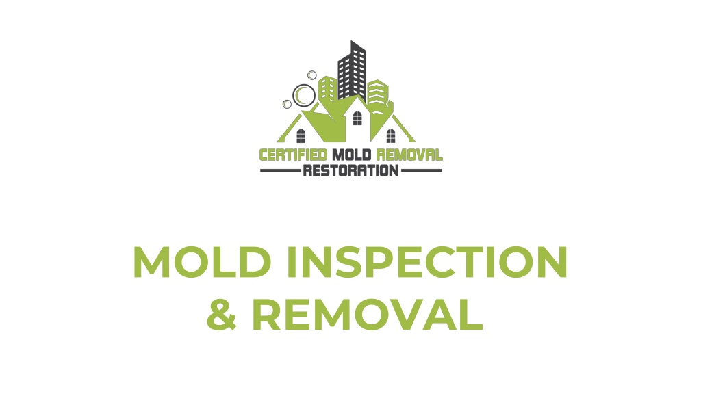 Mold Inspections and Remediation Standards in Maryland