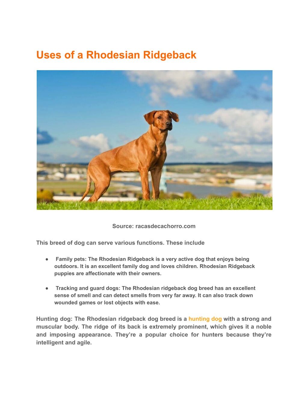 PPT - Rhodesian Ridgeback Dog Breed Information and Facts PowerPoint ...