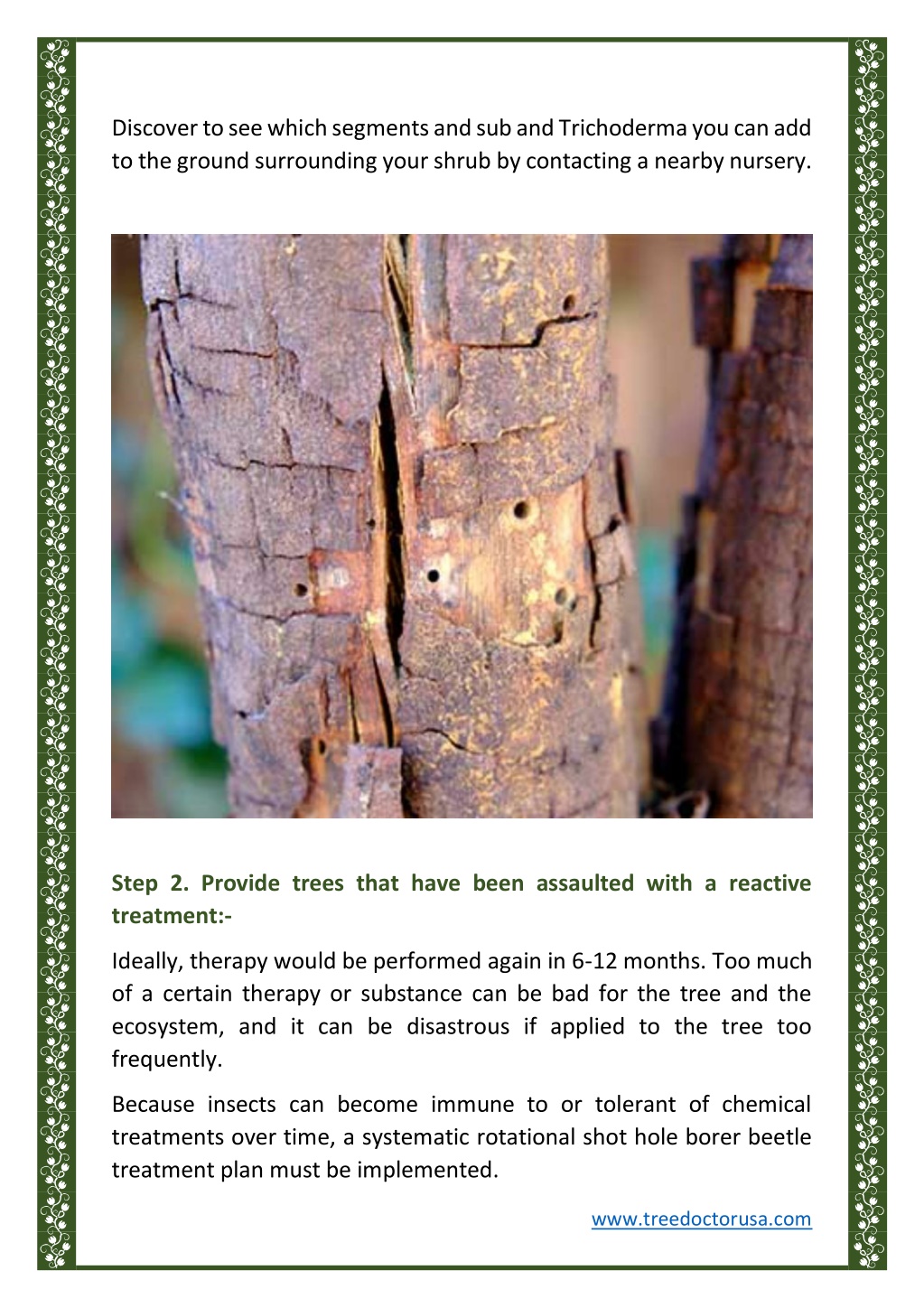 Ppt What Are The Problems Of Trees And Treatment Of Shot Hole Borer Beetles Powerpoint