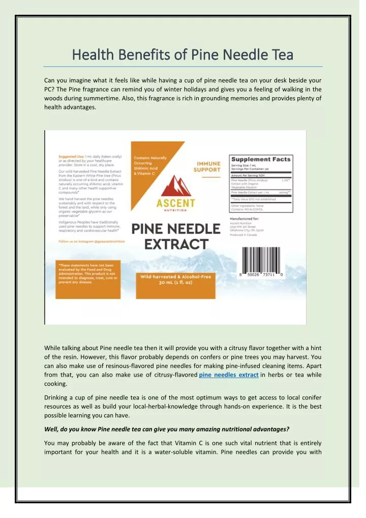 PPT Health Benefits of Pine Needle Tea PowerPoint Presentation, free