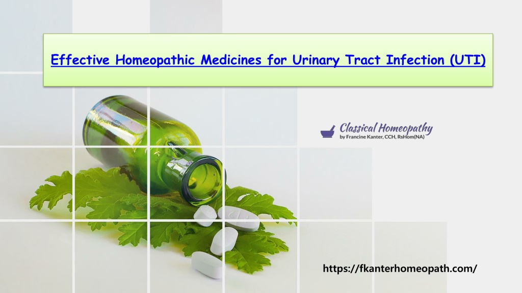 Ppt Effective Homeopathic Medicines For Urinary Tract Infection Uti