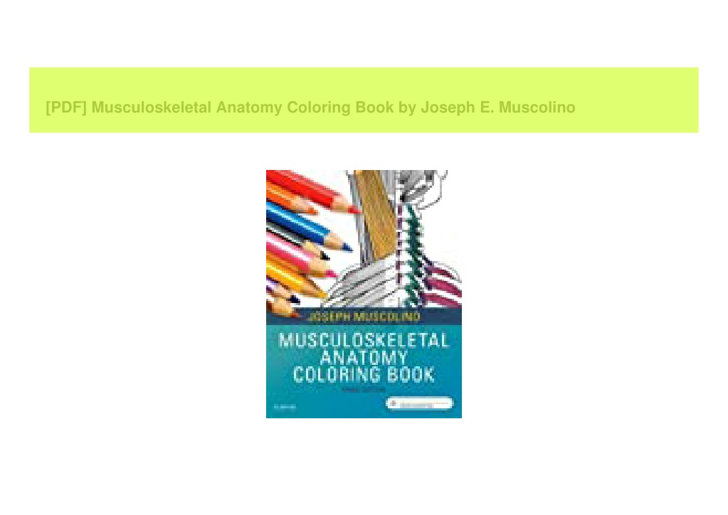 PPT [PDF] Musculoskeletal Anatomy Coloring Book by Joseph E