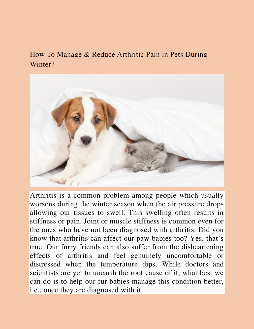 Ppt How To Manage And Reduce Arthritic Pain In Pets During Winter