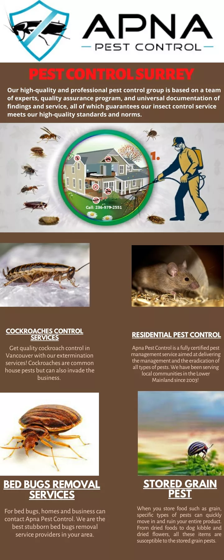 PPT - PEST CONTROL SURREY PowerPoint Presentation, free download - ID ...