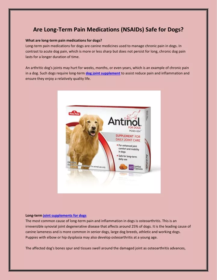 ppt-are-long-term-pain-medications-nsaids-safe-for-dogs-powerpoint