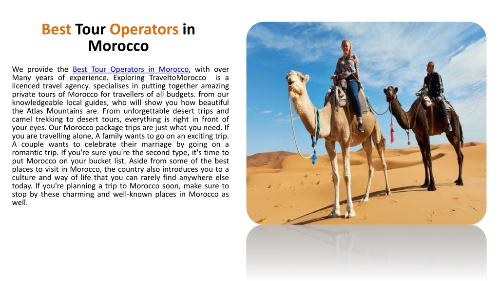 local tour operators in morocco