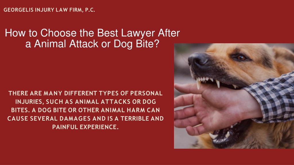 PPT - How To Choose The Best Lawyer After A Animal Attack Or Dog Bite ...