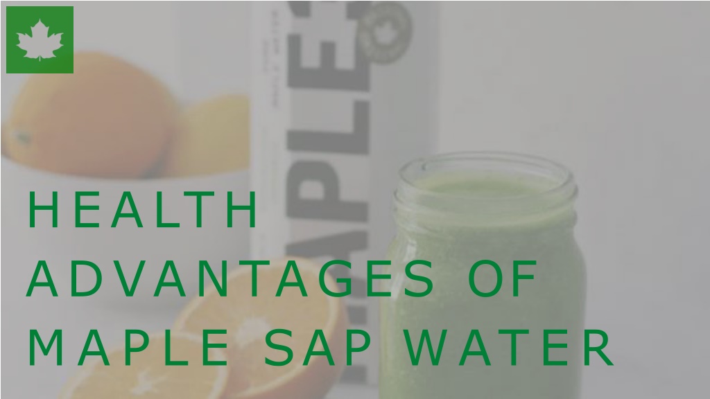 PPT Health Advantages of Maple Sap Water PowerPoint Presentation