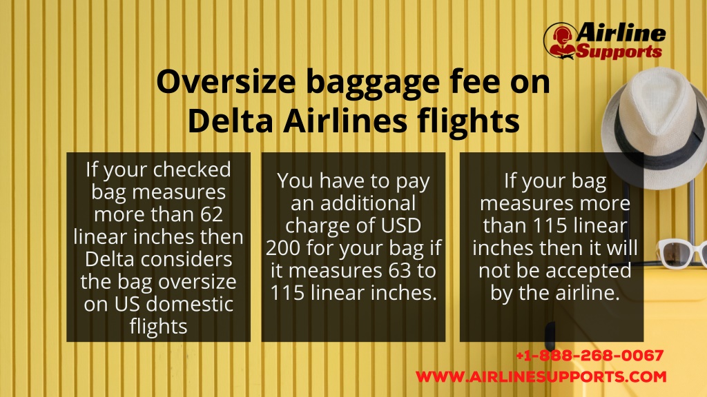 PPT Know all about Delta Airlines Baggage Allowance Policy PowerPoint