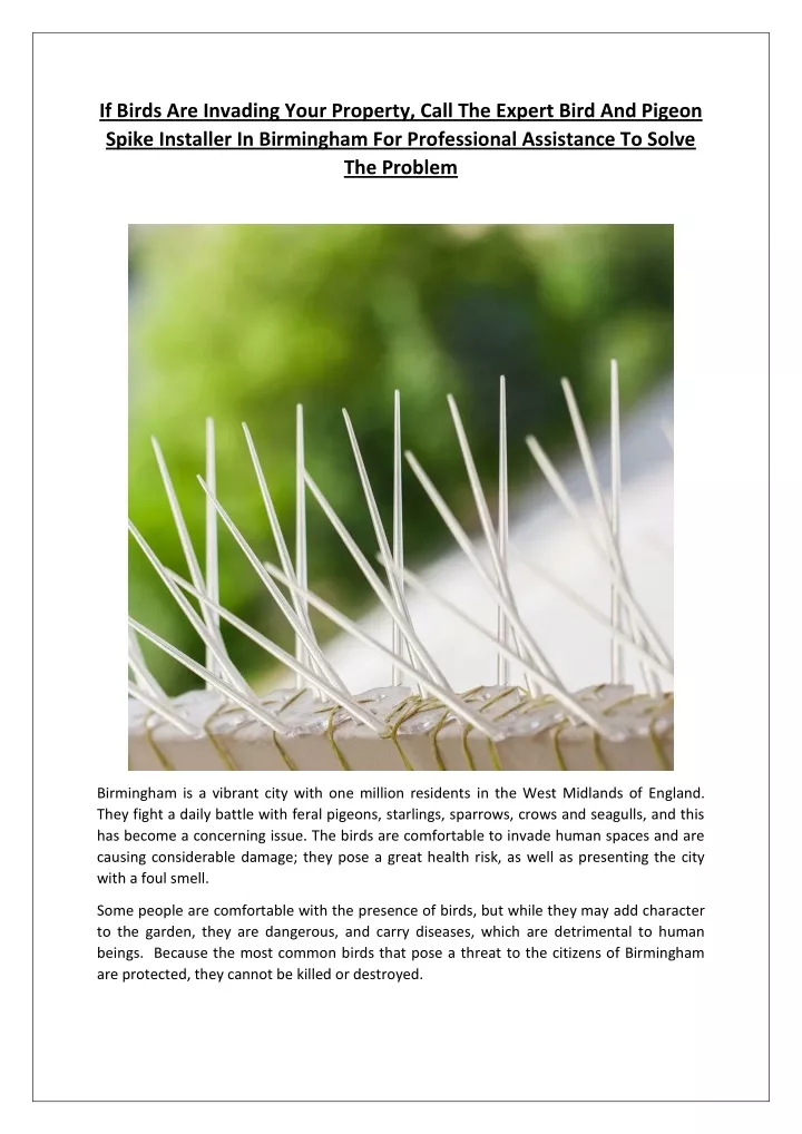 View of PPT - If Birds Are Invading Your Property, Call The Expert Bird And ...