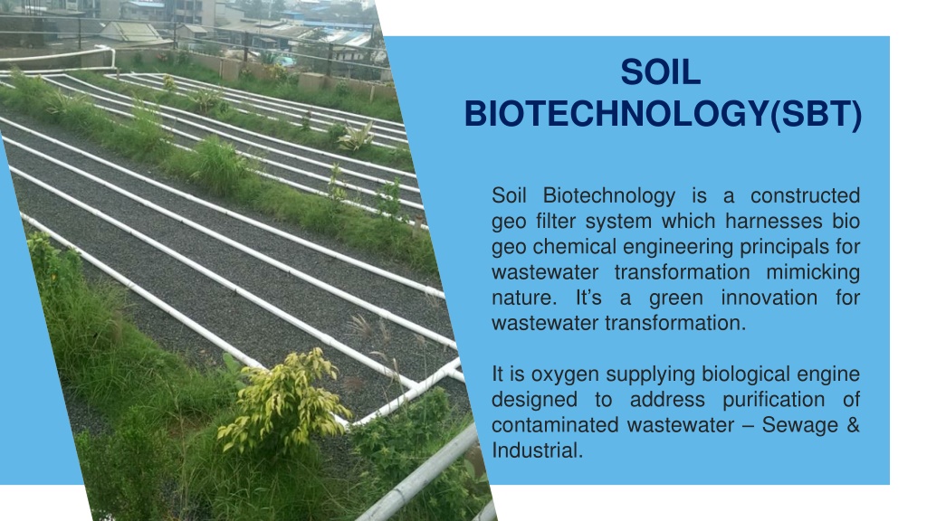 PPT - SOIL BIOTECHNOLOGY FOR SEWAGE TREATMENT PLANT (STP) PowerPoint ...