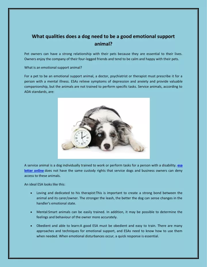 ppt-what-qualities-does-a-dog-need-to-be-a-good-emotional-support-animal-powerpoint