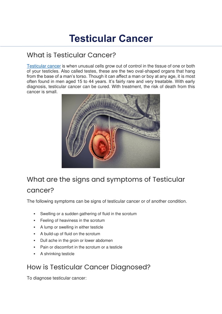 PPT - Testicular Cancer PowerPoint Presentation, free download - ID ...