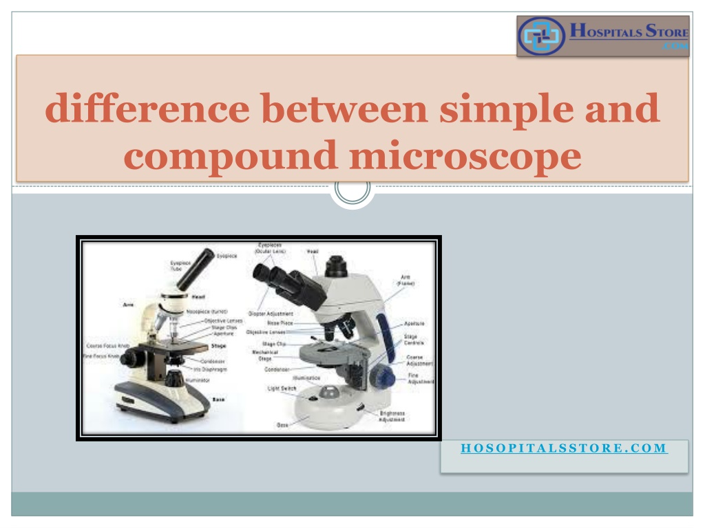 Ppt Difference Between Simple And Compound Microscope Powerpoint Presentation Id11816118 1306