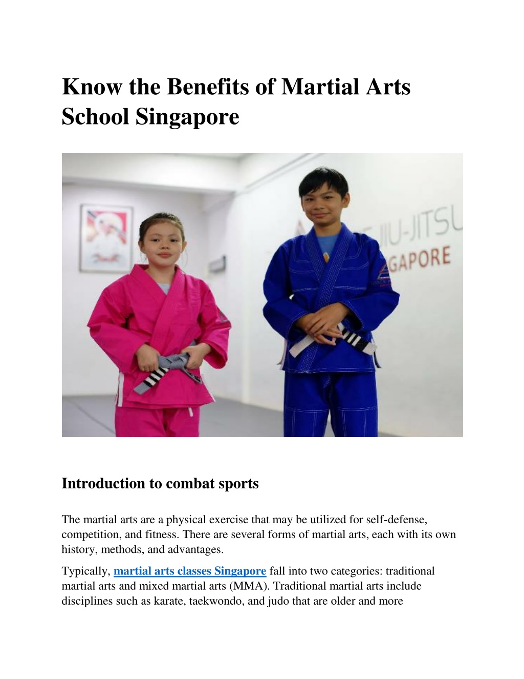 PPT - Know the Benefits of Martial Arts School Singapore PowerPoint  Presentation - ID:11816364