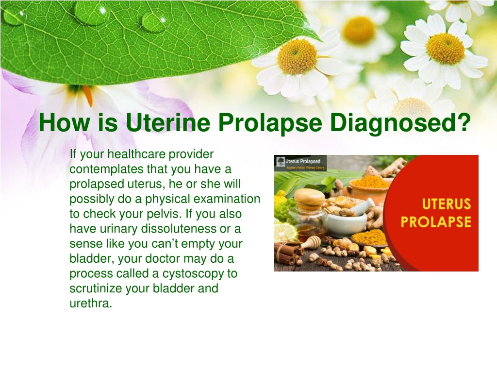 Ppt Best Uterus Prolapse Treatment Powerpoint Presentation Free Download Id11823289 